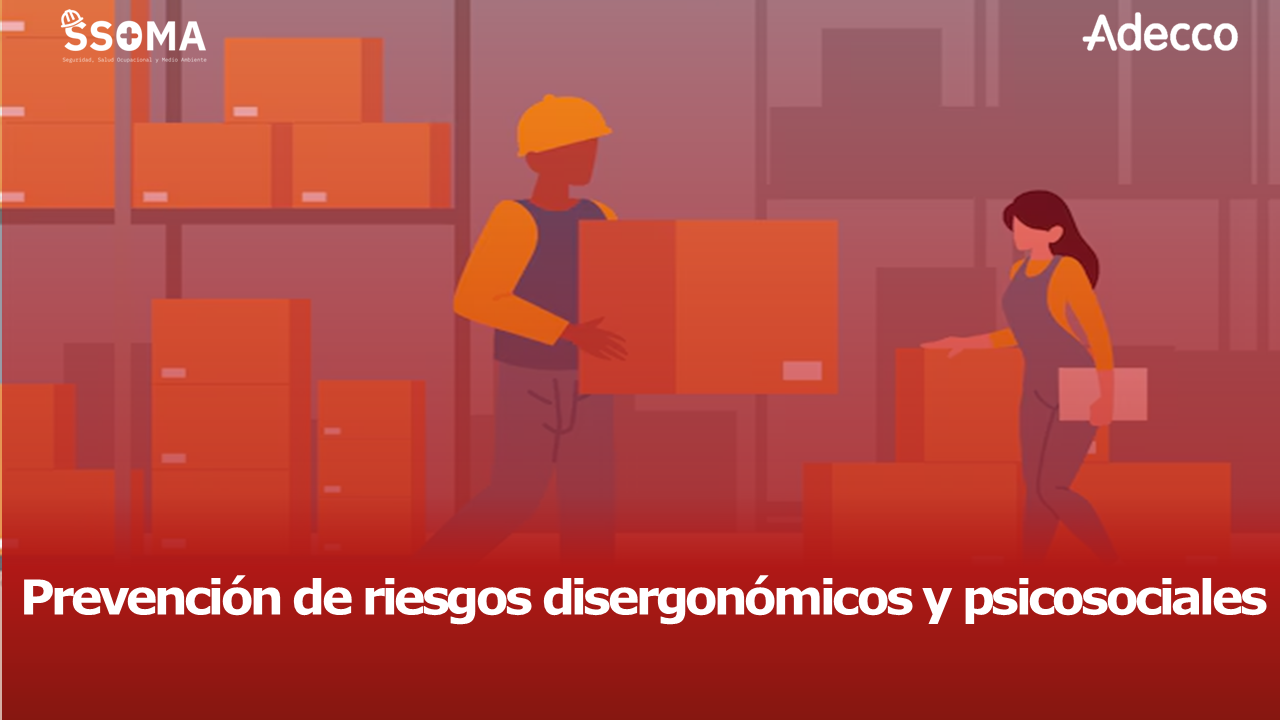 Prevención de riesgos disergonómicos y psicosociales 