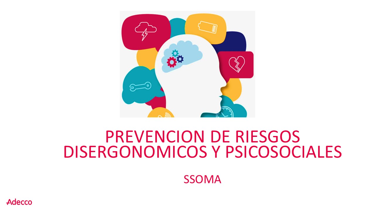 PI-RIESGOS DISERGONOMICOS Y PSICOSOCIALES